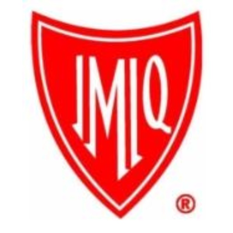 Instituto Mexicano De Ingenieros Quimicos Instituto Mexicano De Ingenieros Quimicos